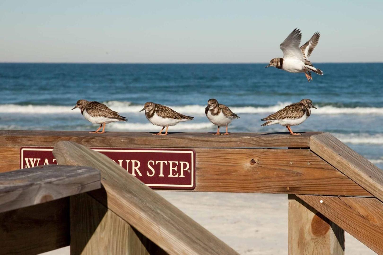 507- Ocean View 2 Bedroom Top Floor New Smyrna Beach Luaran gambar